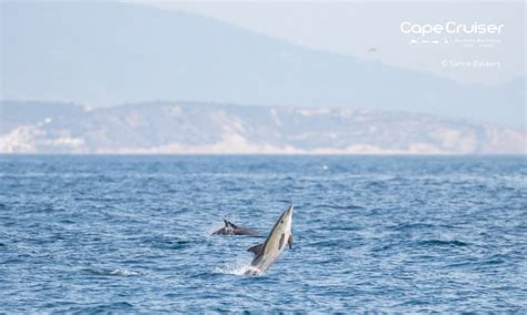 DA BALEEIRA (Lagos) - Hotel Reviews & Photos - Tripadvisor