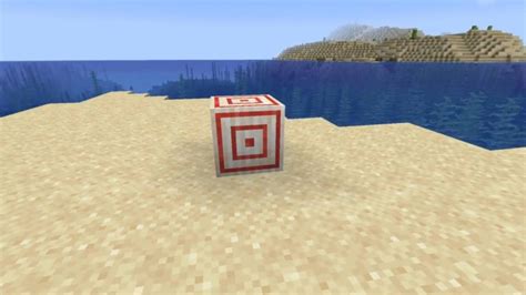 Image result for Nether Update Release Date