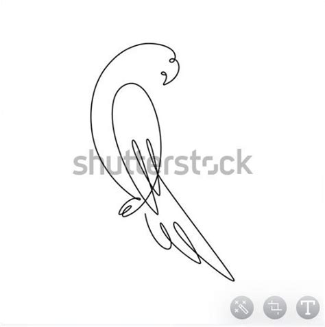 Image result for Parrot Picture Simple Tips