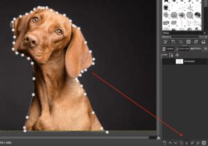 Image result for GIMP Selection Tool Tutorial