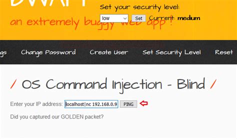 Comprehensive Guide on OS Command Injection - Hacking Articles