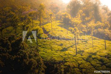 Experience 2 Days Kodaikanal Vacation Package | kodaikanal Trip Package ...