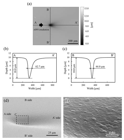 Image result for Interference Microscope