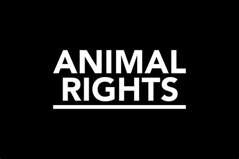 ANIMAL RIGHTS SENSIBILISEERT MENSEN OVER WAT ER ZICH AFSPEELT IN HET ...