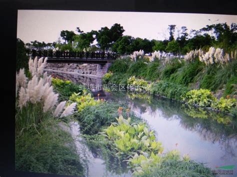 安装河道生态浮岛人工浮岛浮床大型水面绿化漂浮湿地水生植物种植-阿里巴巴