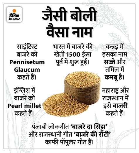 Narendra Modi On Bajra Production; Bajra Health Benefits & History In Hindi