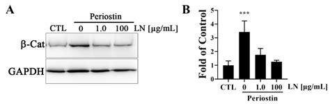 Advances in the Regulation of Periostin for Osteoarthritic Cartilage ...