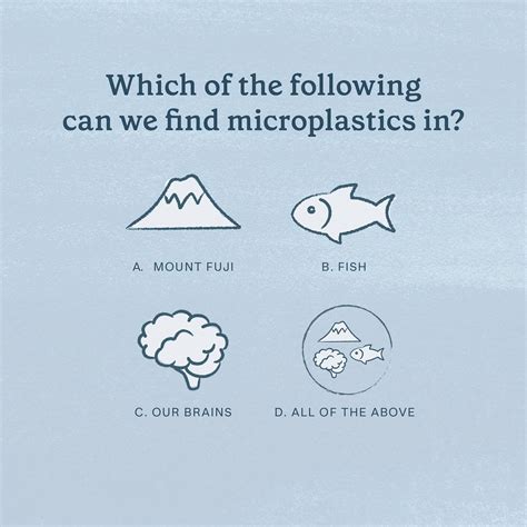 Image result for Clean Conscience