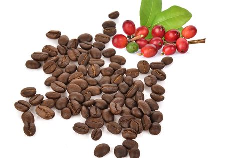 ILoveQatar.net | Arabic coffee: a rich Qatari tradition