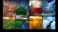 Season Picture by Store N Forward 4 Seasons In One Day Original Season Picture