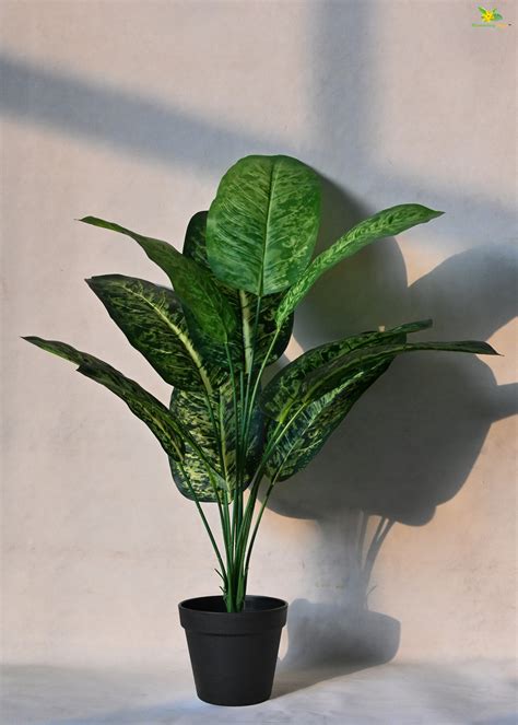 Artificial Dieffenbachia Plant – 63.5 cm, 12 Green-Yellow Leaves, with ...