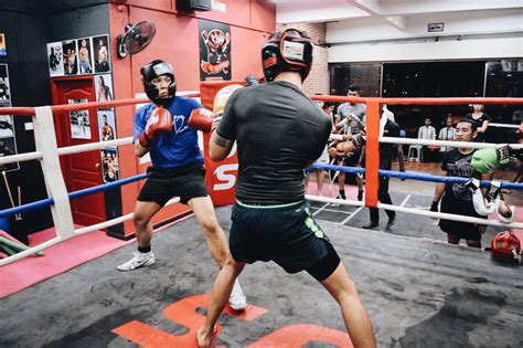 Pro Boxing Sparring 的图像结果