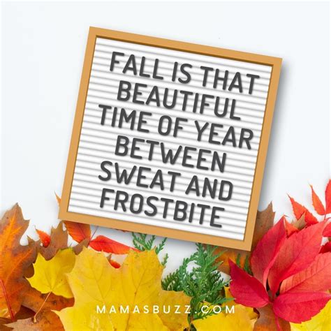 150 + Best Fall Letter Board Quotes