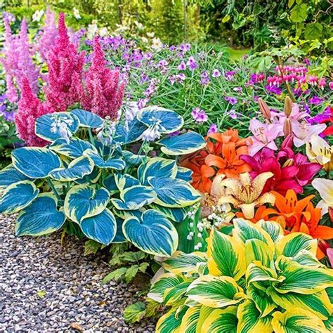 19 Perennial Shade Garden Landscaping Ideas To Consider | SharonSable