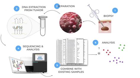 Image result for Transcriptomics Databases