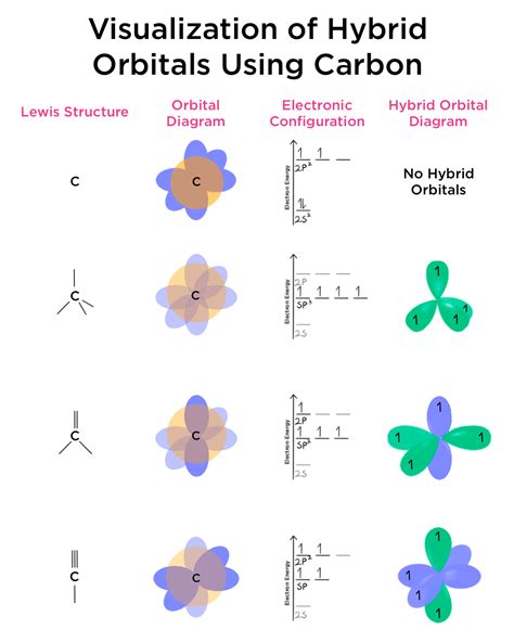 Electron geometry chart and hybrid orbitals - cookiepolf