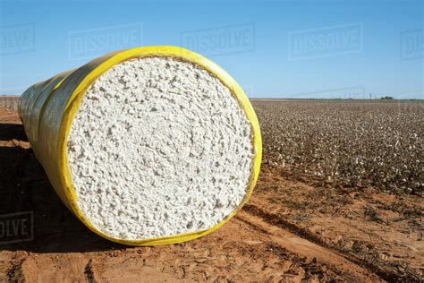 Image result for Loading Cotton Modules