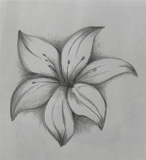 Pencil Shading of a Flower