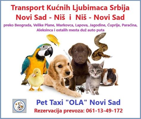 Transport Kućnih Ljubimaca Srbija, Pet Taxi "OLA" Novi Sad - prevoz ...