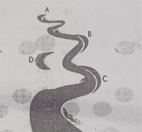 Study the picture of a river basin given below and name the features ...