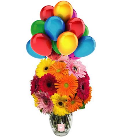 Buy 20 mixed gerberas in vase with 10 Balloons Online at Best Price | Od