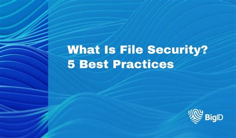 File Security 的图像结果