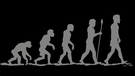Evolution Human Body 的图像结果