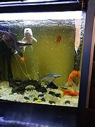 Despacito Aquarium Oxygen Air Pump for Fish Tank Noiseless Fish Tank ...