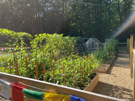 4 x 8 Raised Garden Bed Planting Layout Guide - The Ultimate Homestead