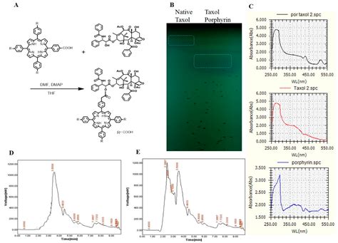 Conjugation of Aspergillus flavipes Taxol with Porphyrin Increases the ...