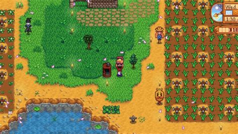 Stardew Valley Treasure Chest: Where to Find & How to Use - Twinfinite