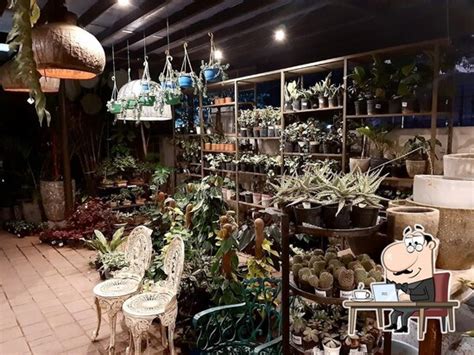 Go Native Sadashivanagar, Bengaluru - Restaurant menu, prices and reviews