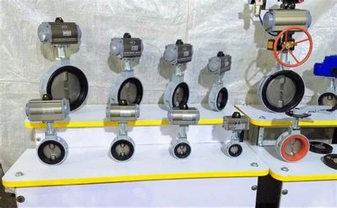 Pneumatic Butterfly Valves - Double Acting Pneumatic Actuator Valve ...