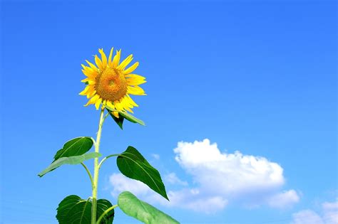 Image result for Progressive Insurance Core Values