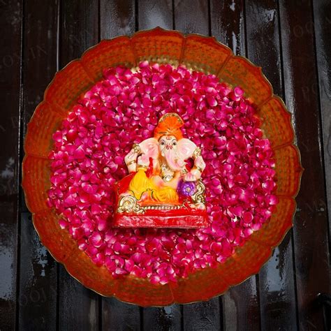 Buy 10INCH Heramba Eco-Friendly Ganpati | Plant-A-Ganesha Online in ...