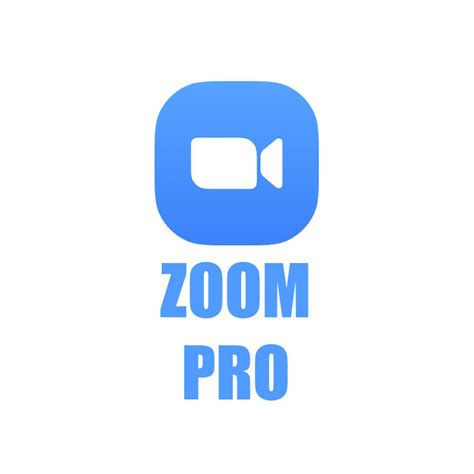 Zoom Pro Tutorial 的图像结果
