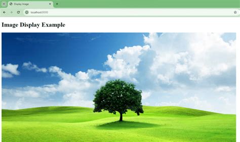 How to Put Images On Flask HTML 的图像结果