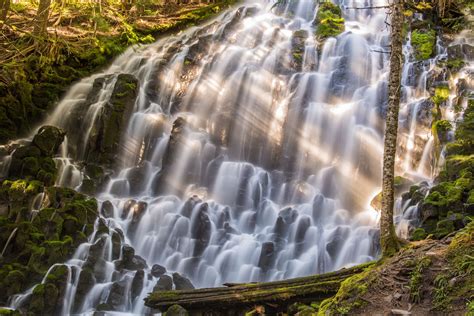 Ramona Falls, Mt. Hood National Park at dusk. Photographed by Joe ...
