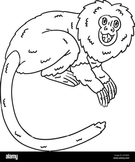 Black Lion Tamarin Monkey Isolated Coloring Page Stock Vector Image ...