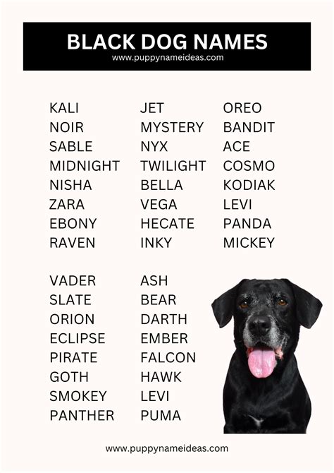 270+ Black Dog Names - Puppy Name Ideas