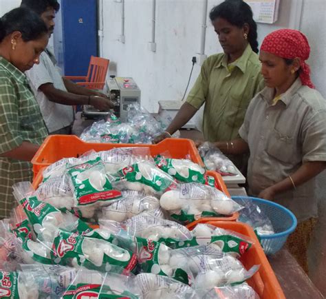 Button Mushrooms Tamilnadu, India from Vgrow Farms, Green Hill Farms ...