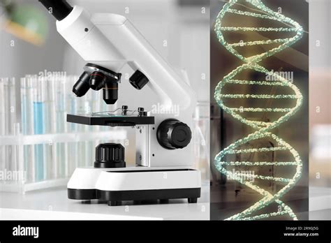 Genetics Pics 的图像结果