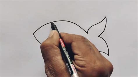 Image result for Simple Fish Drawing