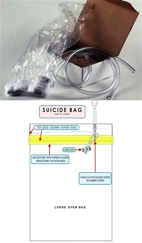 고통없이 죽을려면 꽤 준비해야됨 - DogDrip.Net 개드립