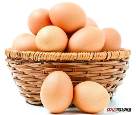 今日鸡蛋价格_中国禽病网今日鸡蛋报价 - 随意优惠券