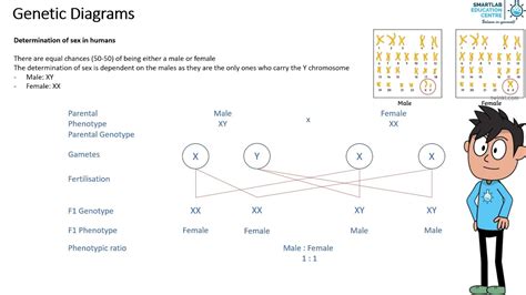 Interesting Genetics 的图像结果