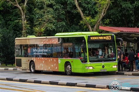 183 Bus Route 的图像结果