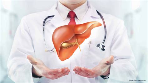 How to maintain Liver Health?
