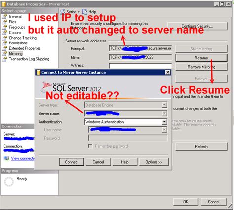 What Is Mirroring in SQL Server 的图像结果