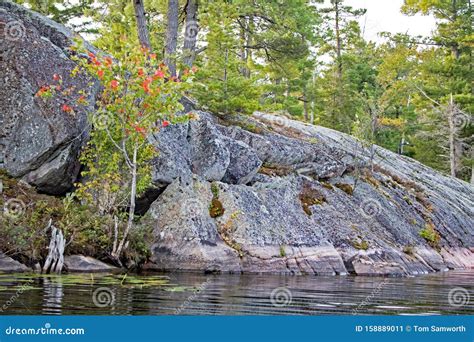 Canadian Shield Rocky Shoreline Scene Stock Image - Image of growing ...